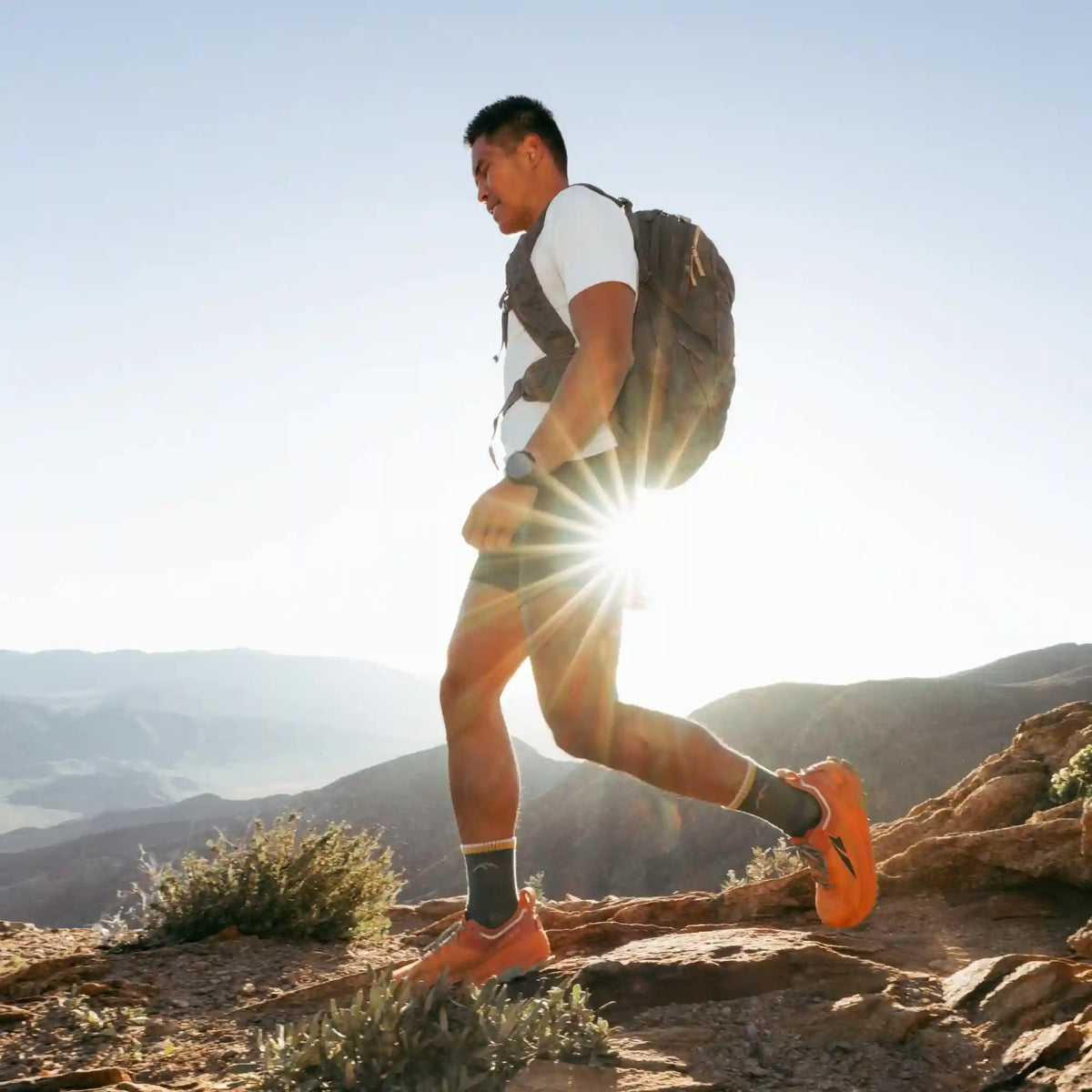 Men's Hiker Micro Crew Midweight Hiking Socks