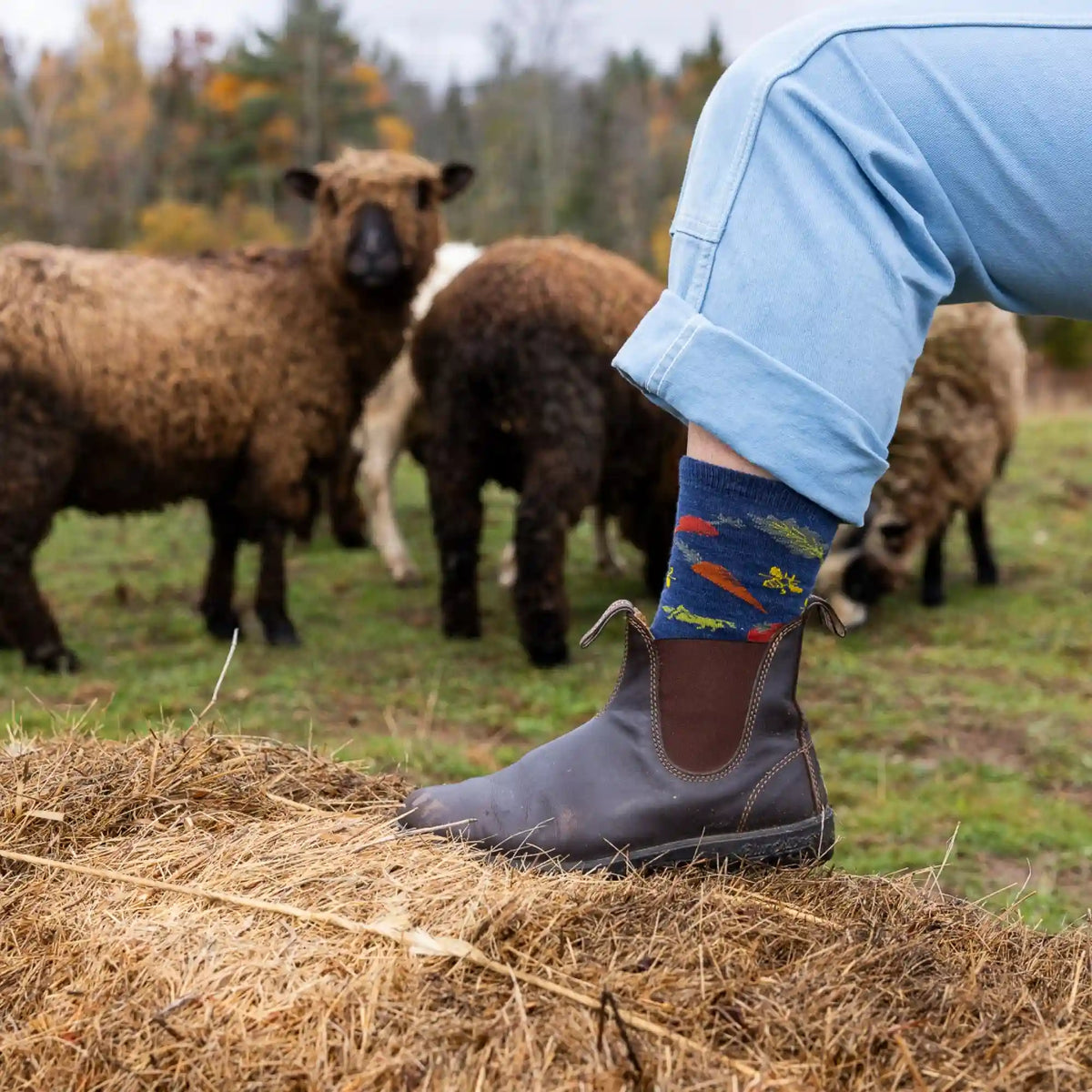 Women's Farmer's Market Crew Lightweight Lifestyle Socks