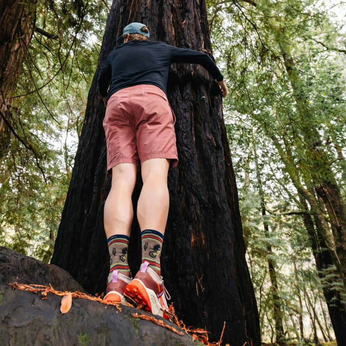 Men's Willoughby Micro Crew Lightweight Hiking Socks