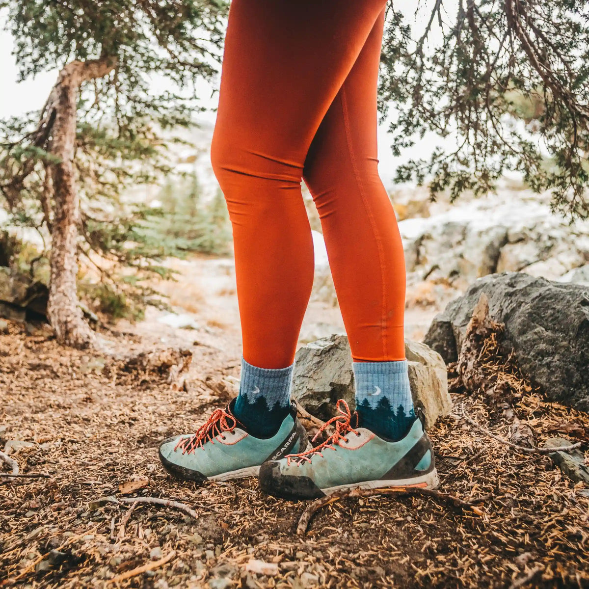 Women's Treeline Micro Crew Midweight Hiking Socks